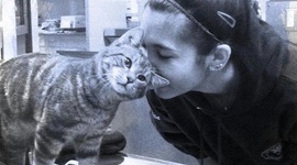 Timeline: My summer 2013