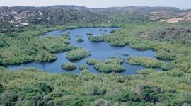 Timeline: CRONOLOGIA DE S'ALBUFERA DES GRAU