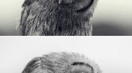 Timeline: money-manager