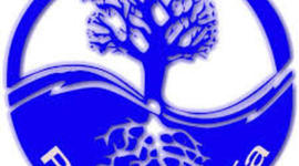 Timeline: Historia de la Pedagogia