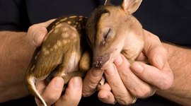 Timeline: биография