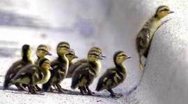 Timeline: Cómo superar la perdida de empleo