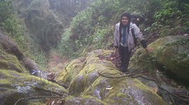 Timeline: La Calidad y Mi Vida