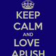 Keep calm and love apush
