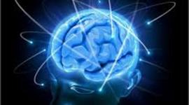 Timeline: escuelas de la psicologia