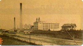 Timeline: De 1850 a 1880