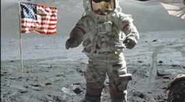 Timeline: Space-Race by Madeline Potts and Ian Donovan