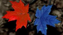 Timeline: Two Solitudes - French Canada