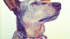 Timeline: lucasmarioctct2