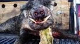 Timeline: Reading Log 2013