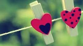 Timeline: Reading Log 2013