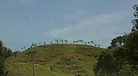 Timeline: PALMAMEILYNNCTCT2