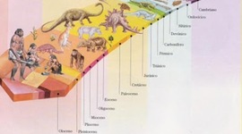 Timeline: Linea del tiempo