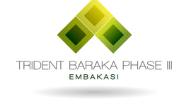 Timeline: Trident Baraka Embakasi