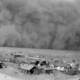 Dust bowl 13