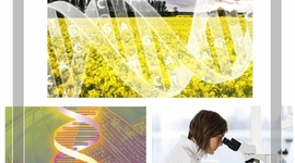 Timeline: GMF timeline