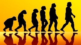 Timeline: Linea del tiempo