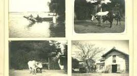 Timeline: Evolucion de la Fotografia