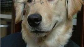 Timeline: Historia de la Calidad