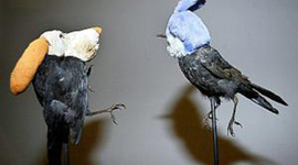 Timeline: History of Art