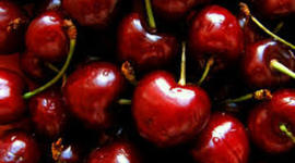 Timeline: english final By Cristian Alvarez