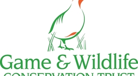 Timeline: Conservation Plan