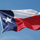 Texas flag