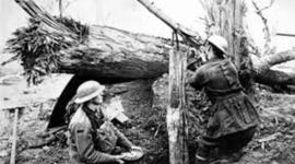 Timeline: Australian Involvement In World War 1