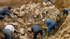 Timeline: Bosnia Genocide