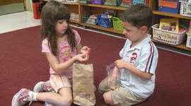 Timeline: My Experience, Education, and Career