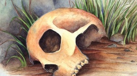 Timeline: A timeline of one forensic investigation