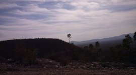 Timeline: Independence Day