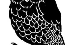 Timeline: rachel is old