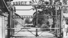 Timeline: Auschwitz