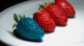 Timeline: Genetically Modified Foods