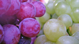 Timeline: VITIVINICULTURA ARGENTINA