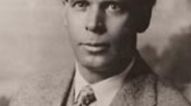 Timeline: Sophie-L.L Fitzgerald