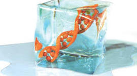 Timeline: inquiry:  (term 2)