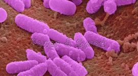 Timeline: Forrest Gump Timeline