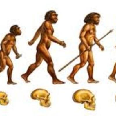 Timeline: La evolución humana