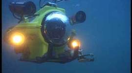 Timeline: Marine Species Discovery