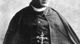 Timeline: Julian E Tenison Wood