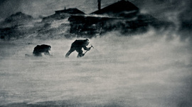 Timeline: Real Stories of Survival