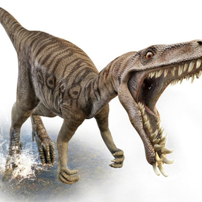 Timeline: Geologic Time Scale: Fossils