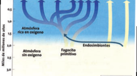 Timeline: Teorias sobre la evolucion