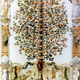 Albero genealogico