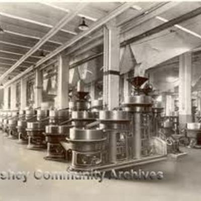 Timeline: Minamata Poisoning.