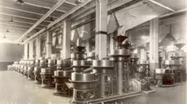 Timeline: Minamata Poisoning.