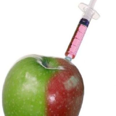 Timeline: GMO timeline