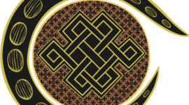 Timeline: Evolve's Journey